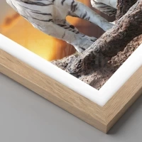 Licht eiken