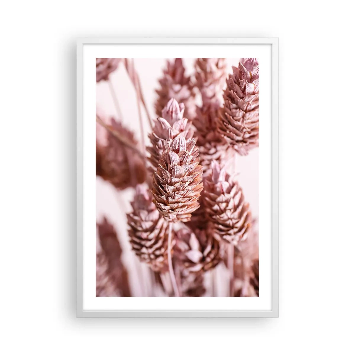 Poster in een witte lijst - Schijnbaar onopvallend - 50x70 cm