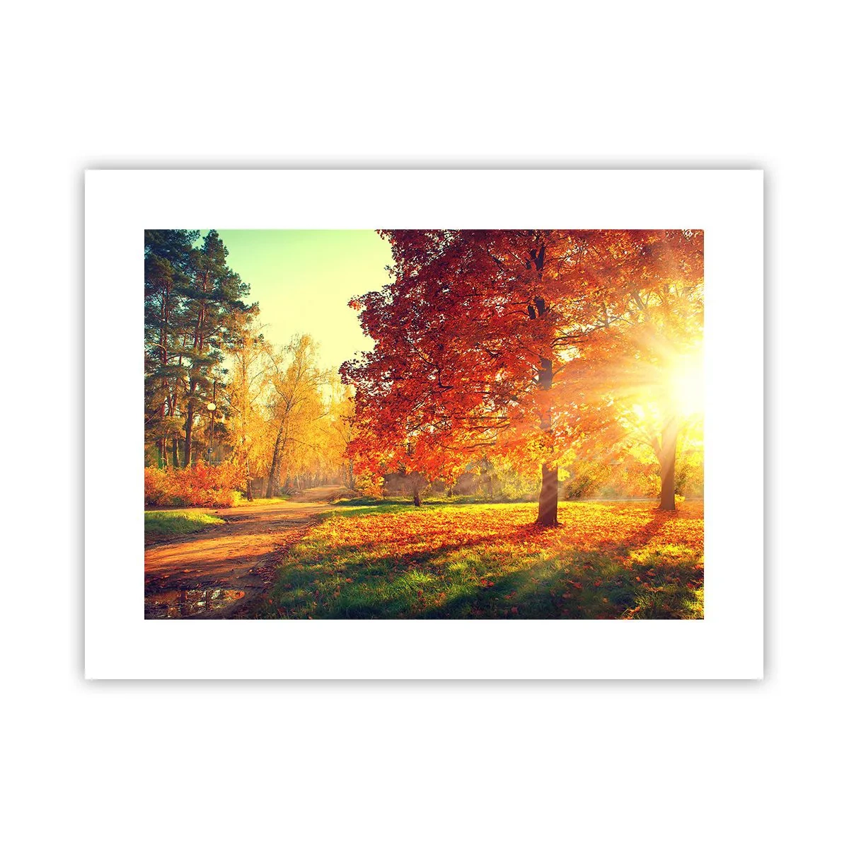 Poster - Rood is mooi - 40x30 cm