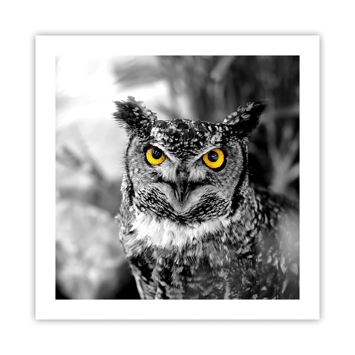 Poster - Niets zal zich verbergen - 50x50 cm
