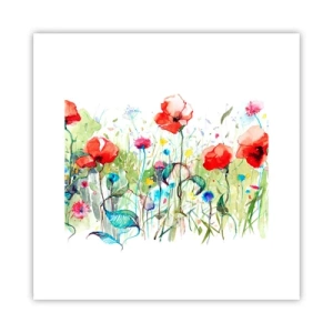 Poster - Bloeiende meiweide - 30x30 cm