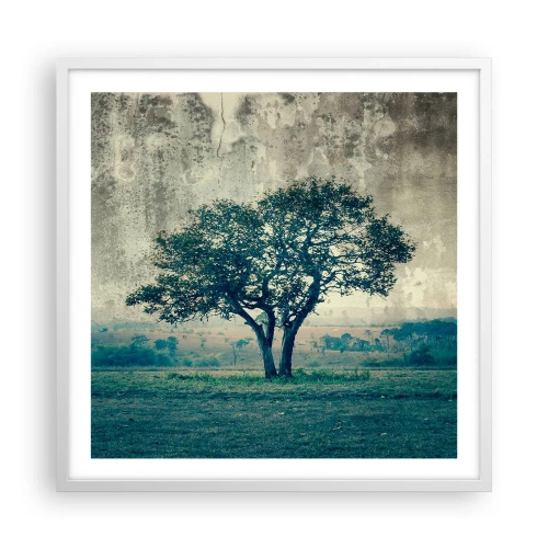 Poster in een witte lijst - Een appelboom op een blauw veld? - 60x60 cm