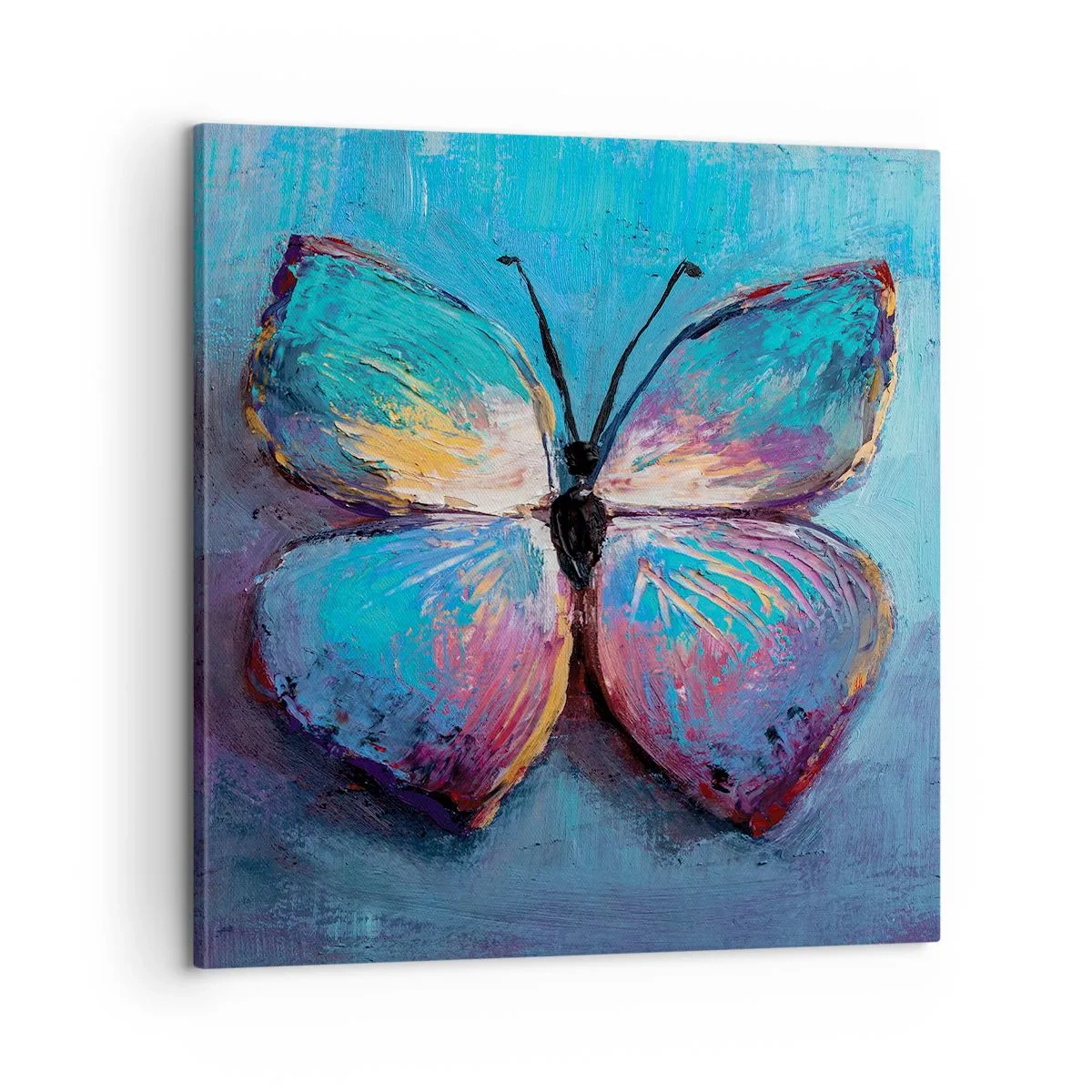 Schilderen op canvas - In al zijn glorie - 60x60 cm