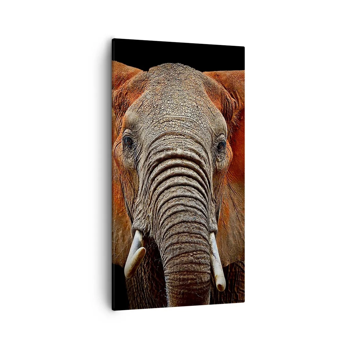 Schilderen op canvas - Ik ben wild, en jij? - 55x100 cm