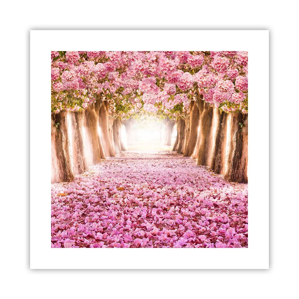 Poster - De weg naar het paradijs - 40x40 cm