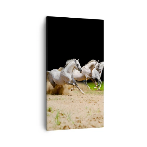 Schilderen op canvas - Drie Gratiën - 45x80 cm