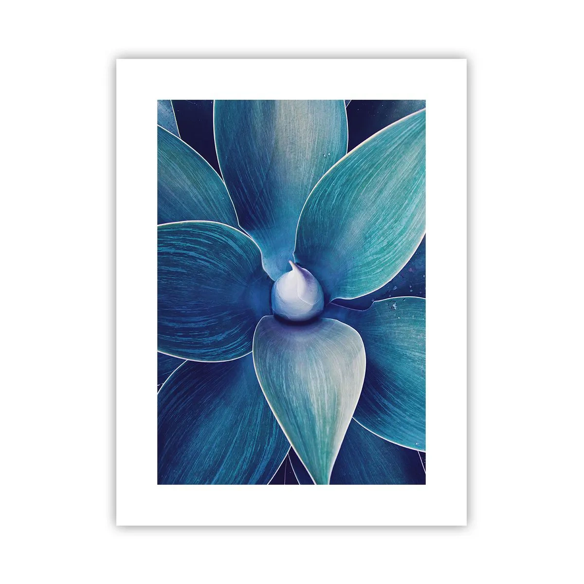 Poster - Blauw uit de lucht - 30x40 cm