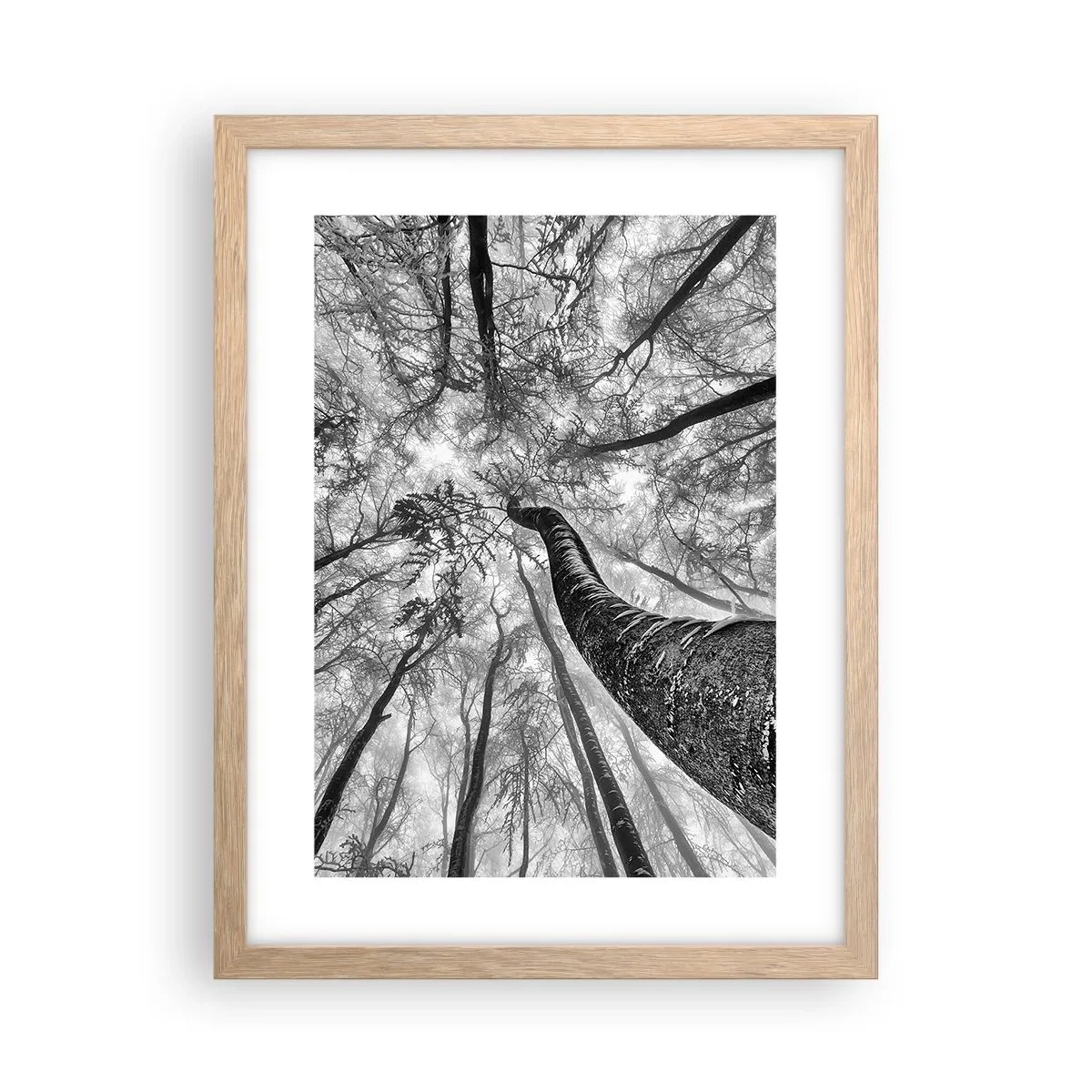 Een poster in een licht eiken lijst - Race naar het licht - 30x40 cm