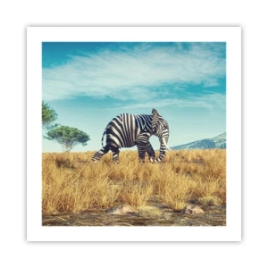 Poster - Grijs is niet meer in de mode - 50x50 cm