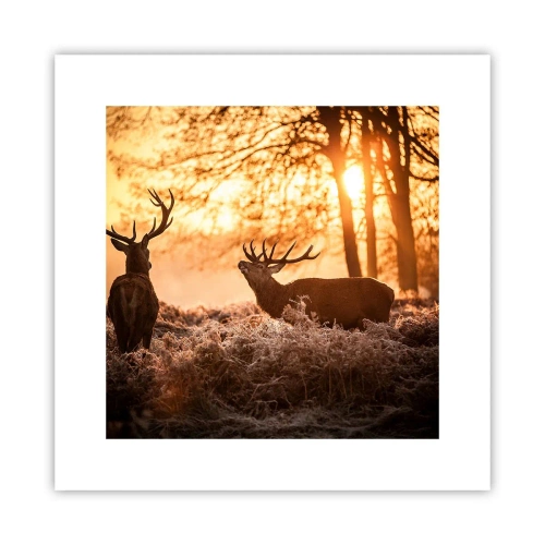 Poster - De droom van een jager - 30x30 cm