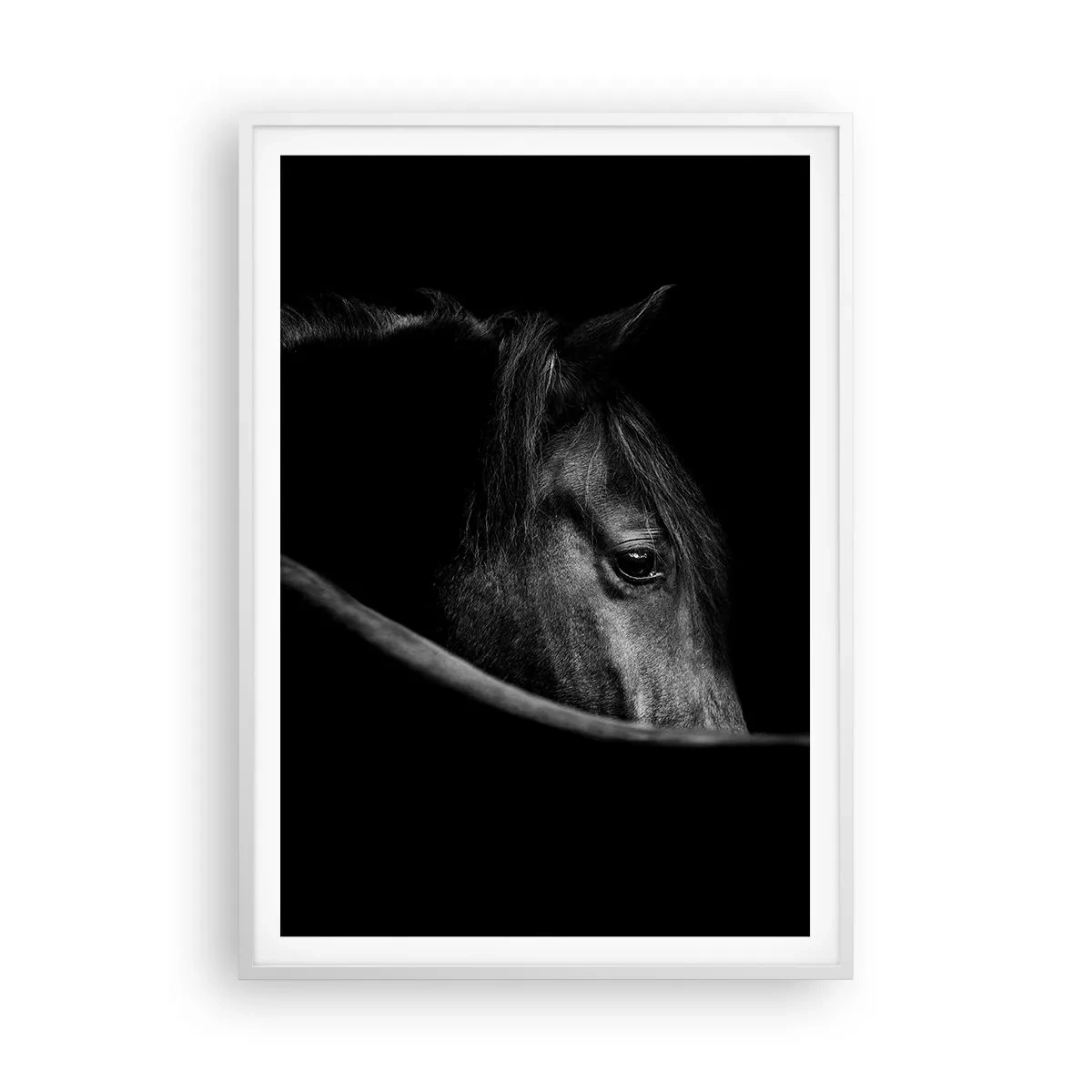 Poster in een witte lijst - Zwarte Prins - 70x100 cm