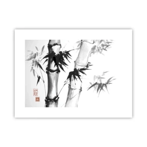 Poster - Close-up op het oosten - 40x30 cm