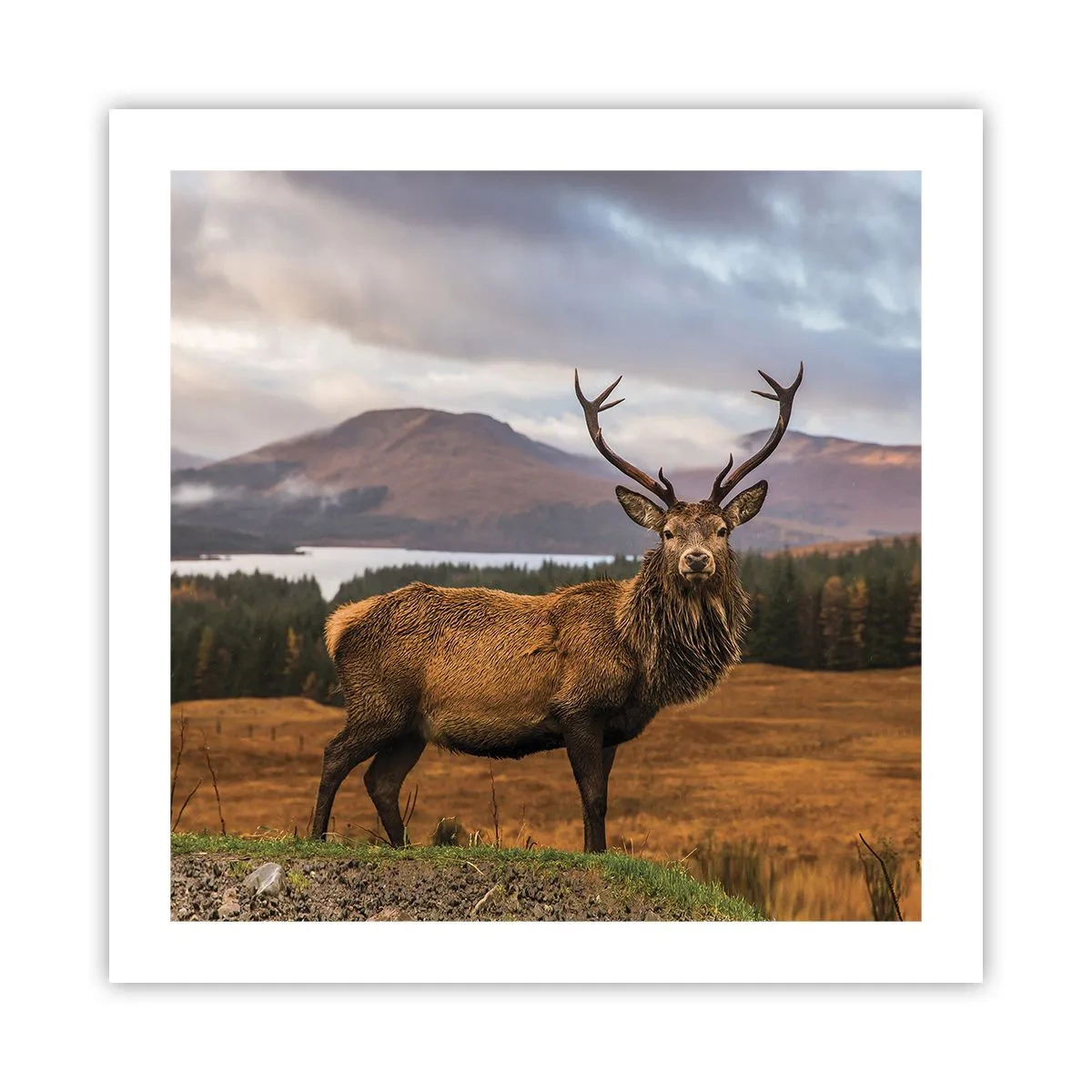 Poster - De majesteit van de natuur - 50x50 cm