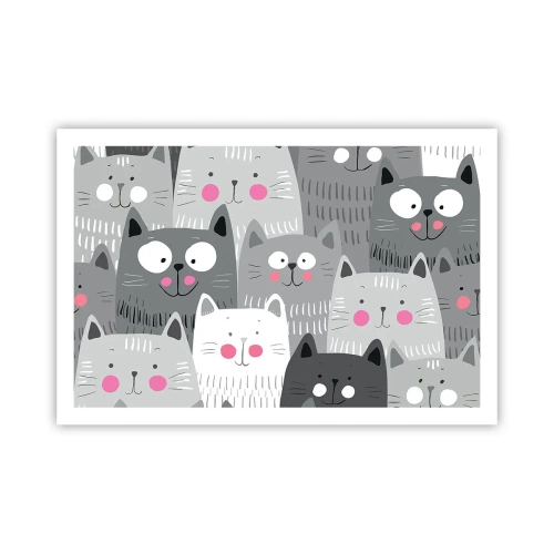 Poster - De wereld van de kat - 91x61 cm