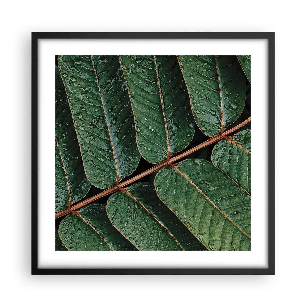 Poster in een zwarte lijst - In een groen ritme - 50x50 cm