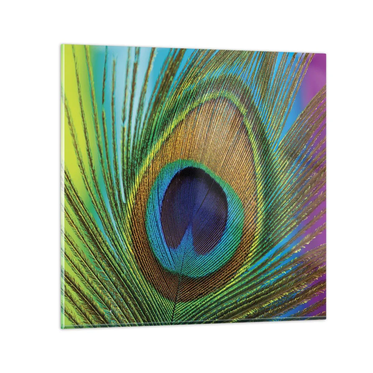 Schilderen op glas - Oog in oog - 60x60 cm