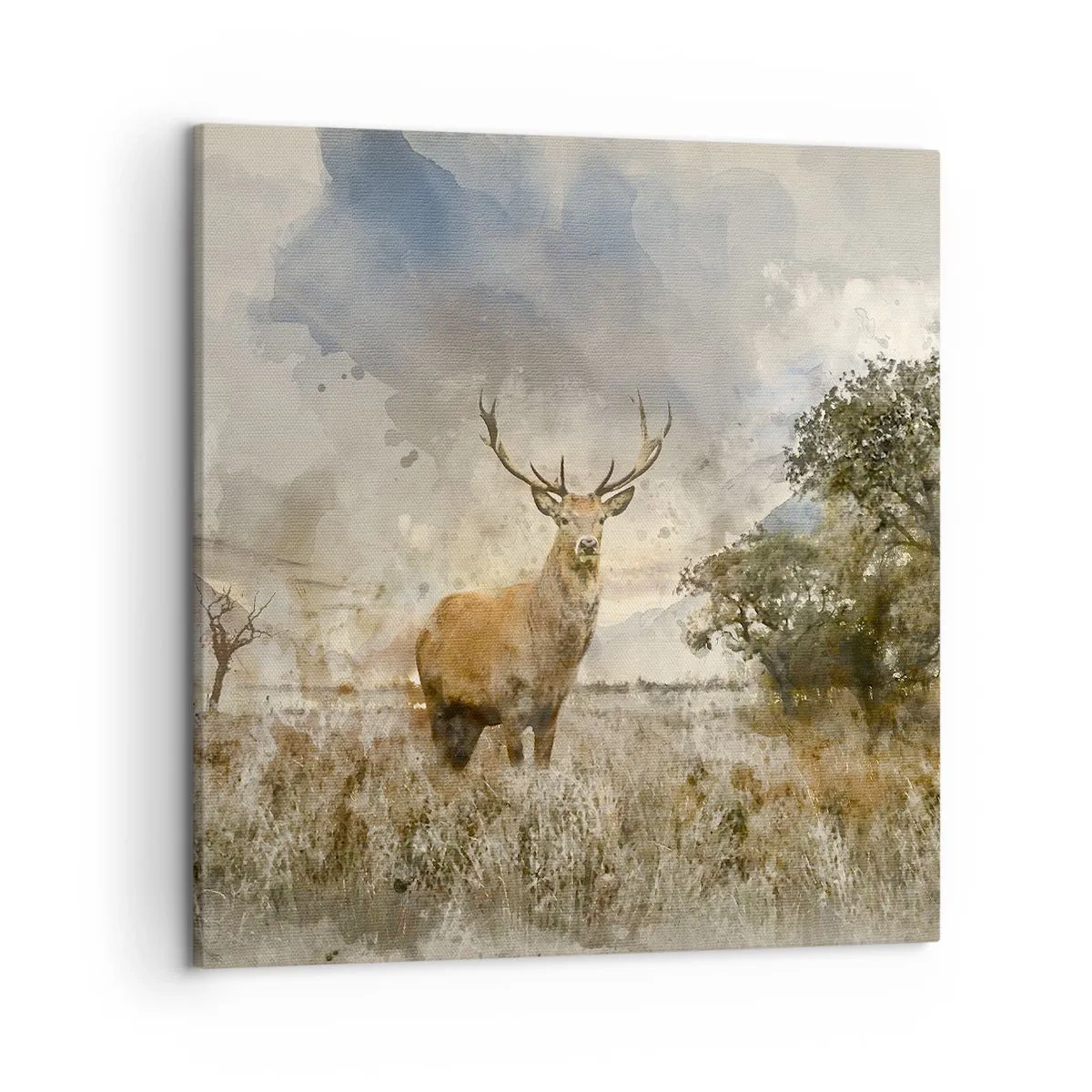 Schilderen op canvas - Waardigheid - kracht - waardigheid - 50x50 cm