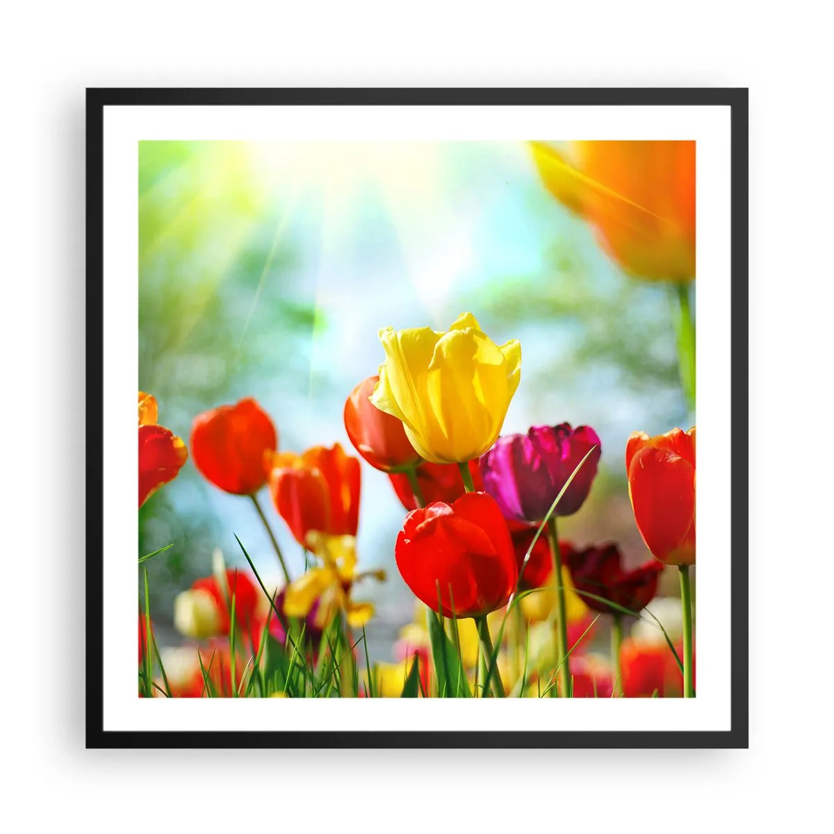 Poster in een zwarte lijst - Alle kleuren van de zon - 60x60 cm