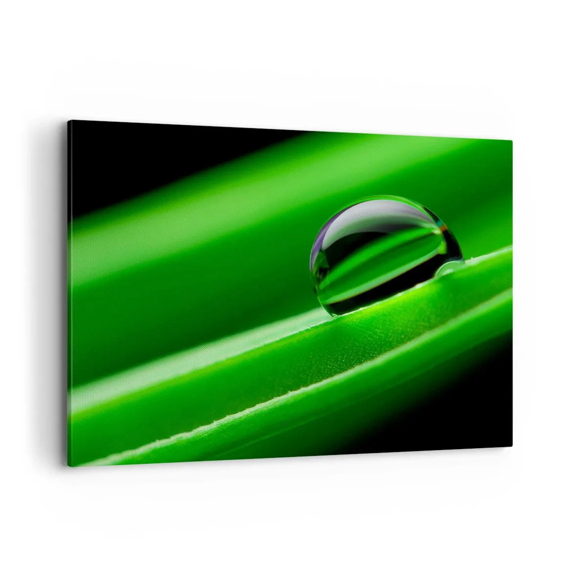 Schilderen op canvas - Leven van dichtbij - 100x70 cm