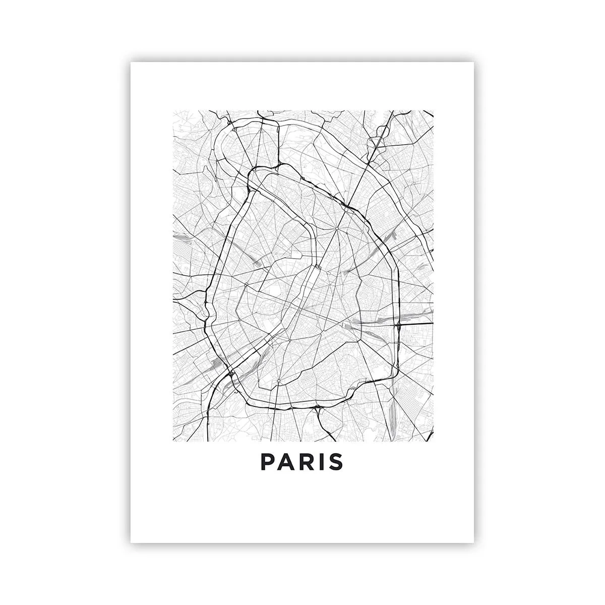 Poster - Parijs bloem - 50x70 cm