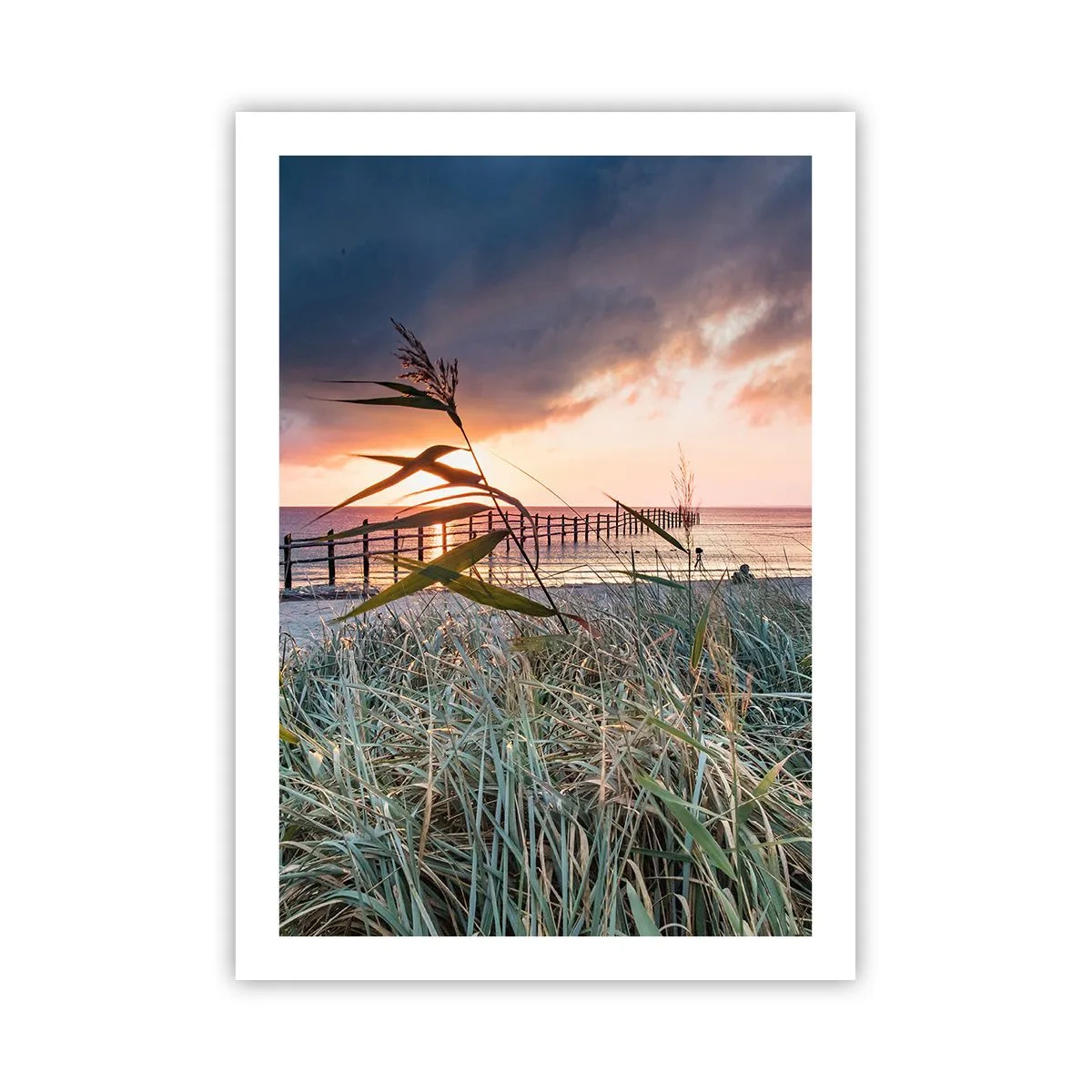 Poster - Het gaat niet met de wind mee - 50x70 cm