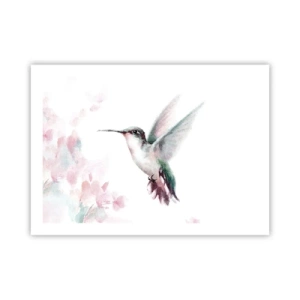 Poster - Vastgehouden tijdens fladderen - 70x50 cm