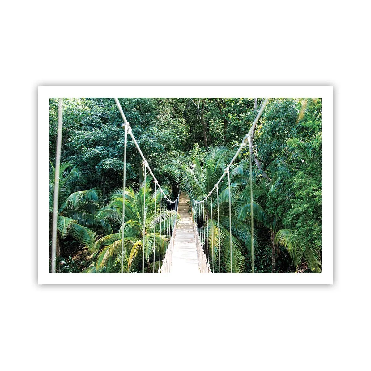 Poster - Welkom in de jungle! - 91x61 cm