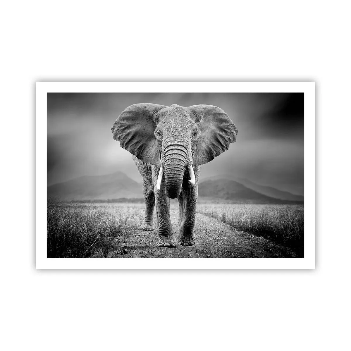 Poster - De gastheer heet je welkom - 91x61 cm