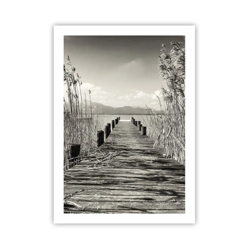 Poster - In de stilte van het gras - 50x70 cm