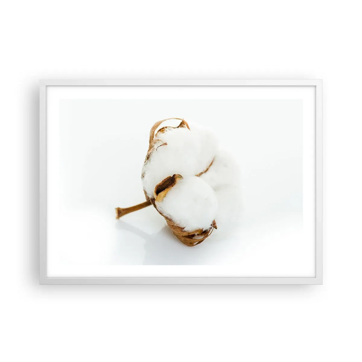 Poster in een witte lijst - Zacht van aard - 70x50 cm