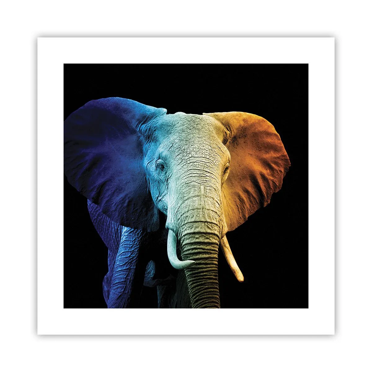 Poster - Excentriek, niet raar - 40x40 cm