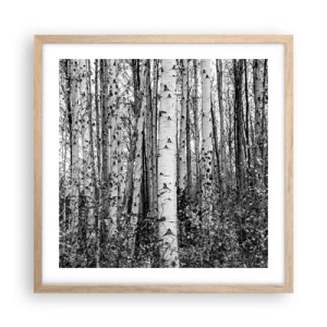 Een poster in een licht eiken lijst - Berken colonnade - 50x50 cm