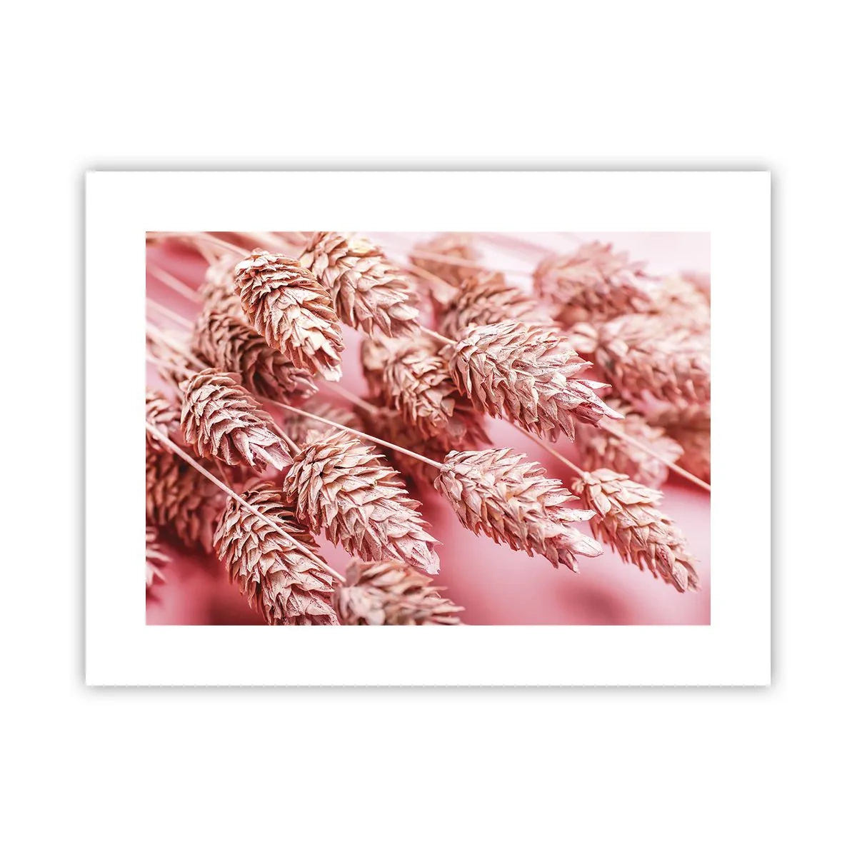 Poster - Een bloemencascade in roze - 40x30 cm