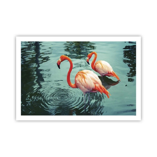 Poster - We zijn nu in de mode - 91x61 cm