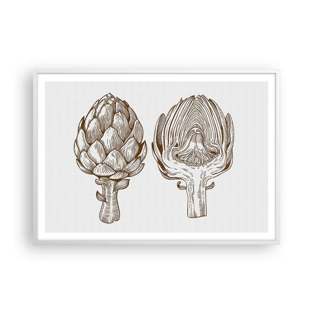 Poster in een witte lijst - Anatomieles - 100x70 cm