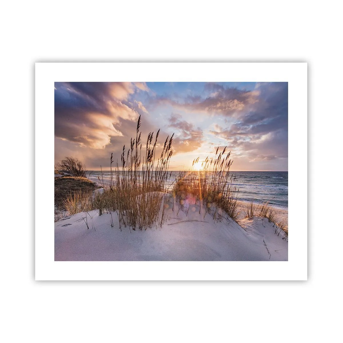 Poster - Afscheid van de zon en de wind - 50x40 cm