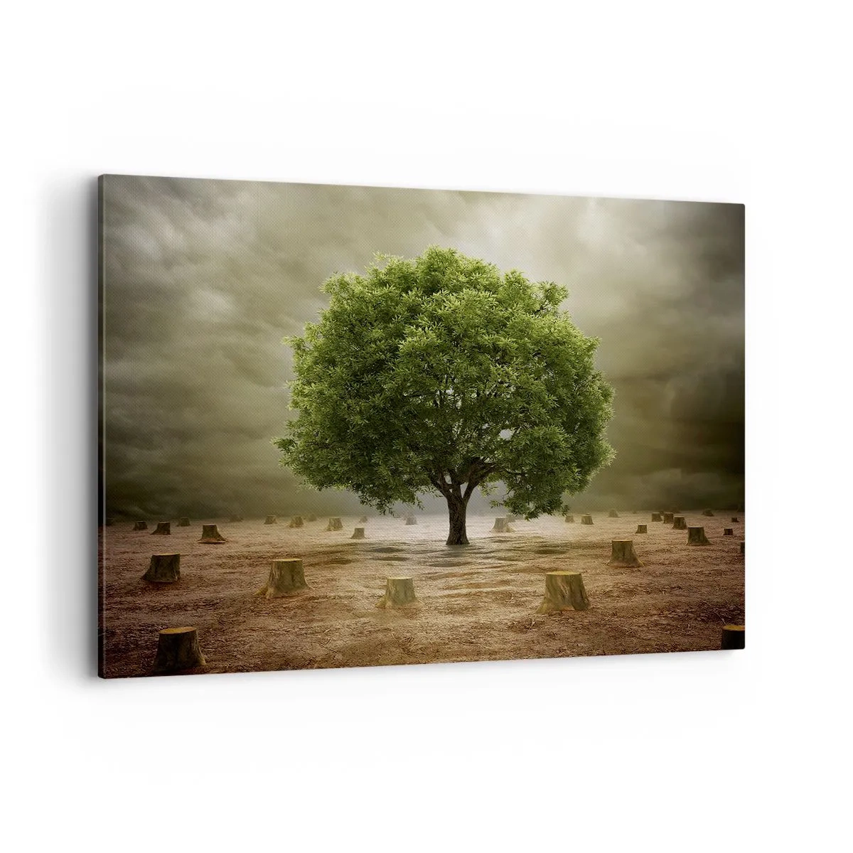 Schilderen op canvas - Alle hoop - 120x80 cm