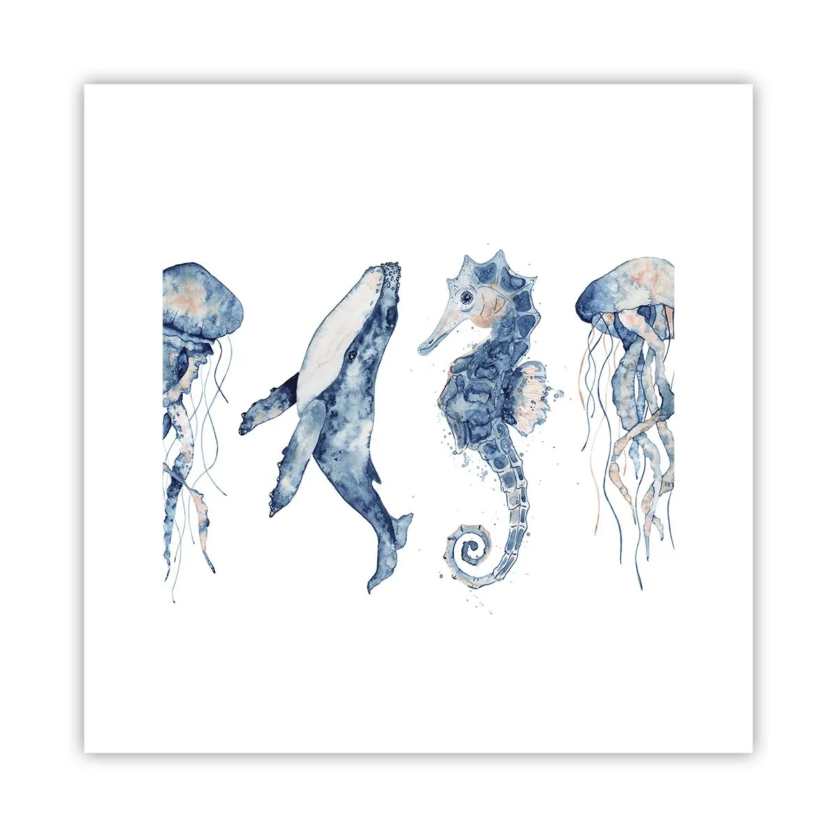 Poster - Zee wonderen - 30x30 cm