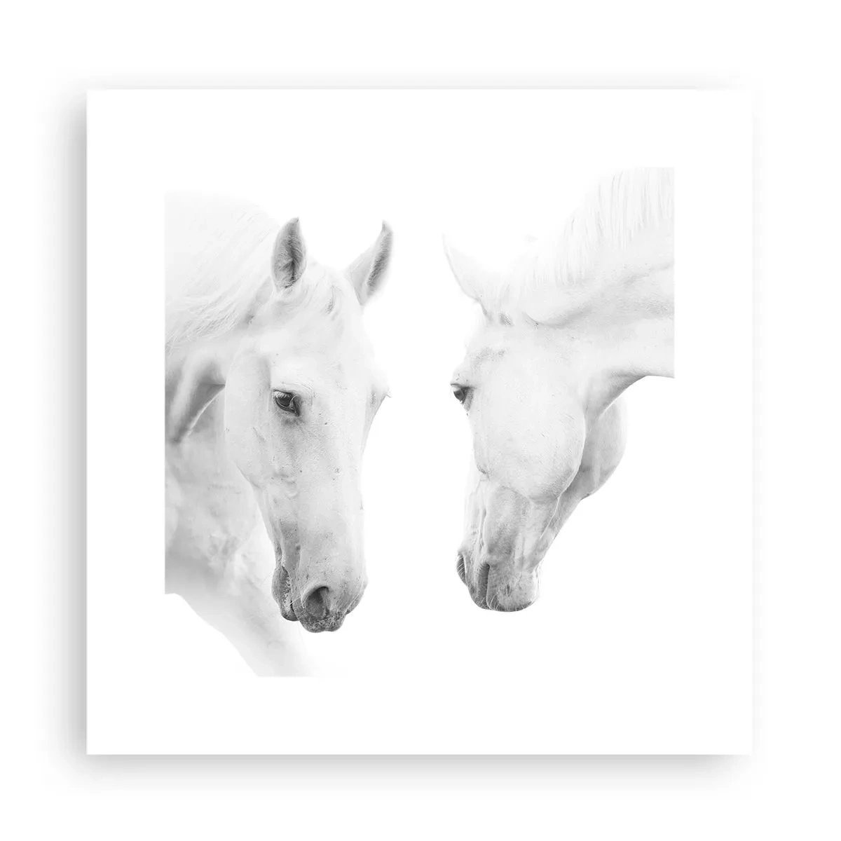 Poster - Is dit vriendschap...? - 30x30 cm