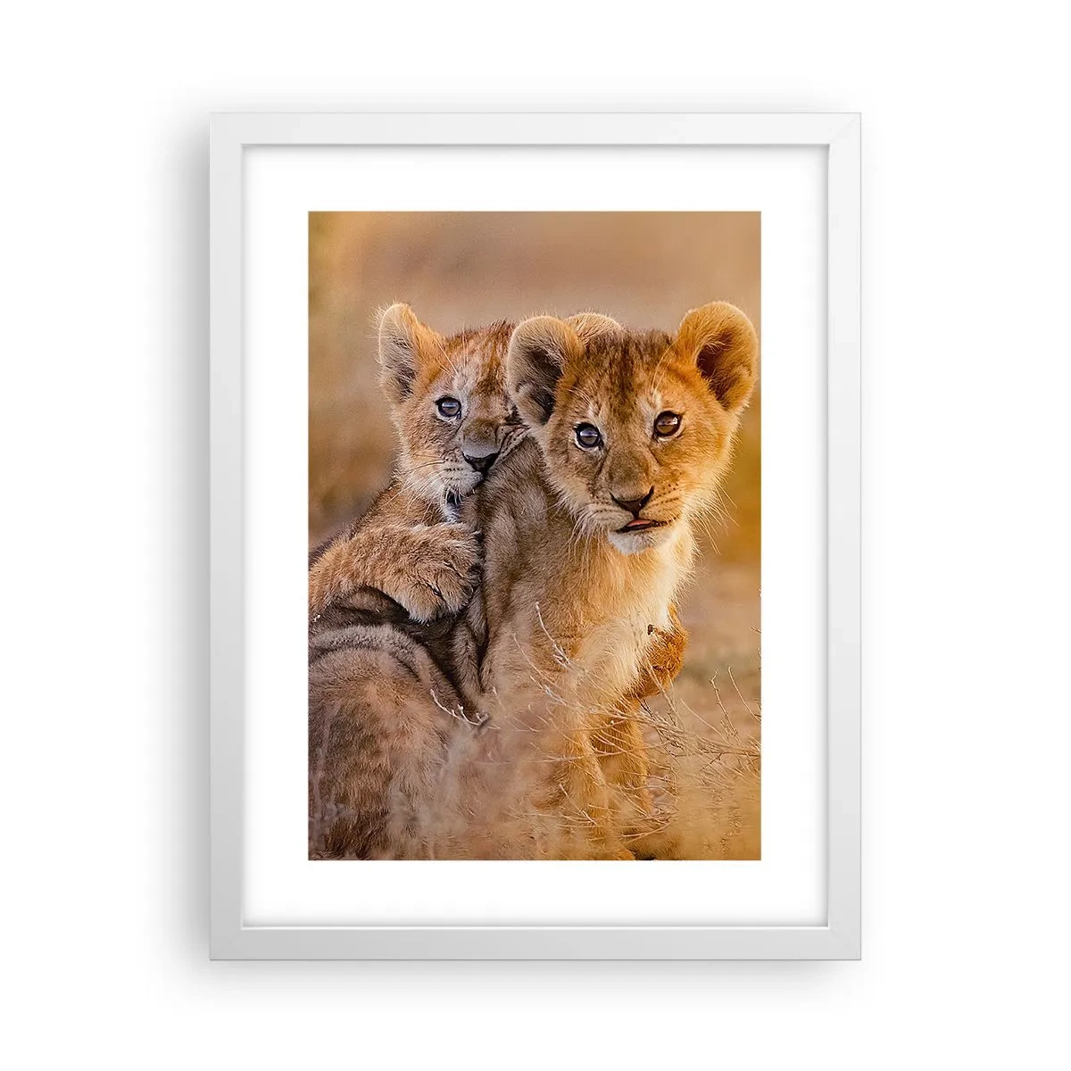 Poster in een witte lijst - Niet storen! We hebben plezier - 30x40 cm