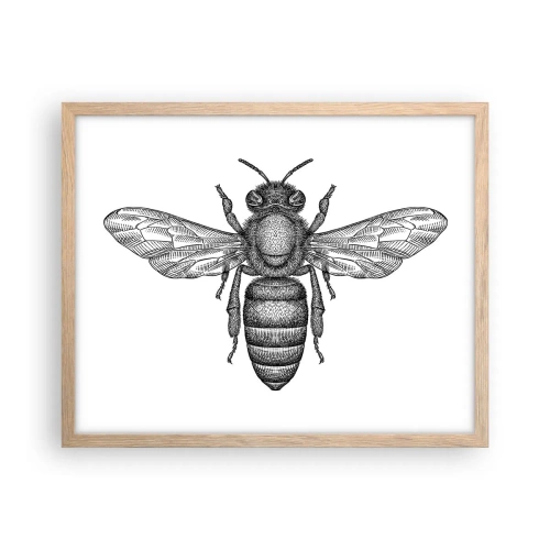 Een poster in een licht eiken lijst - Insectenportret - 50x40 cm