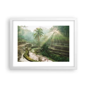 Poster in een witte lijst - Opgroeien in de zon - 40x30 cm