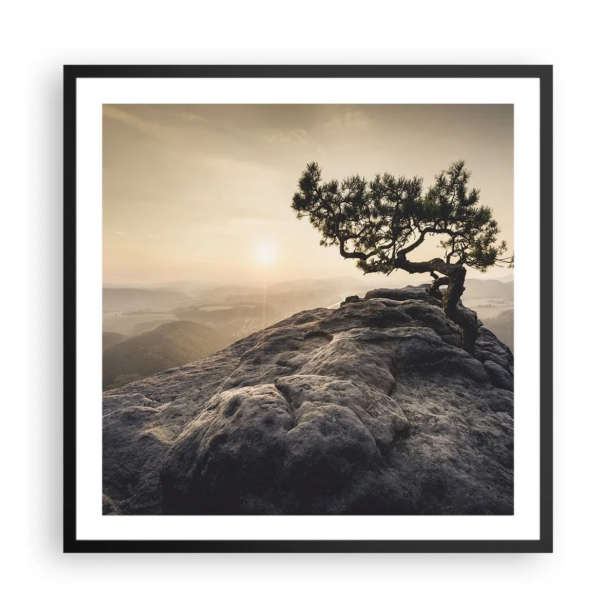 Poster in een zwarte lijst - Het leven wint altijd - 60x60 cm