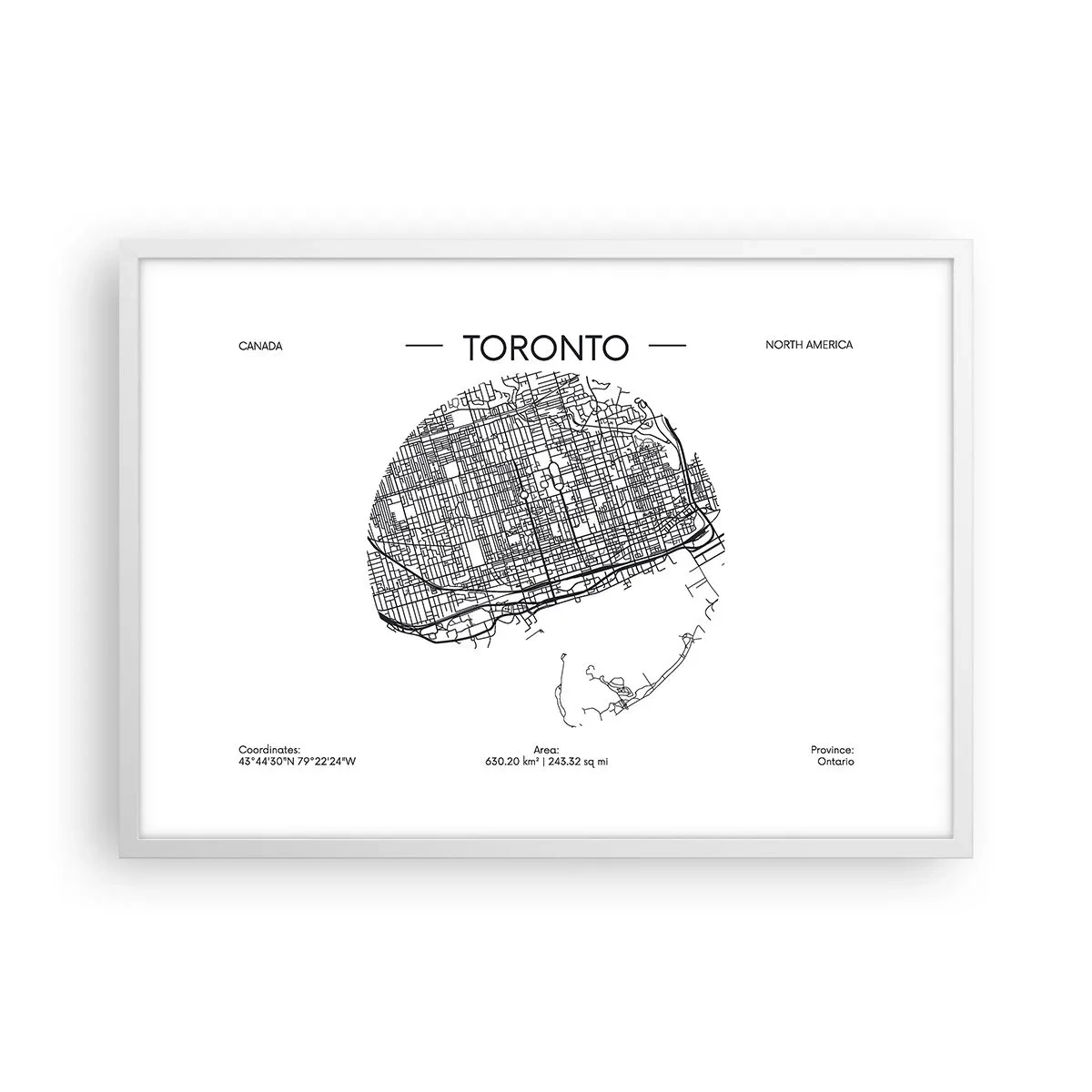 Poster in een witte lijst - Anatomie van Toronto - 70x50 cm