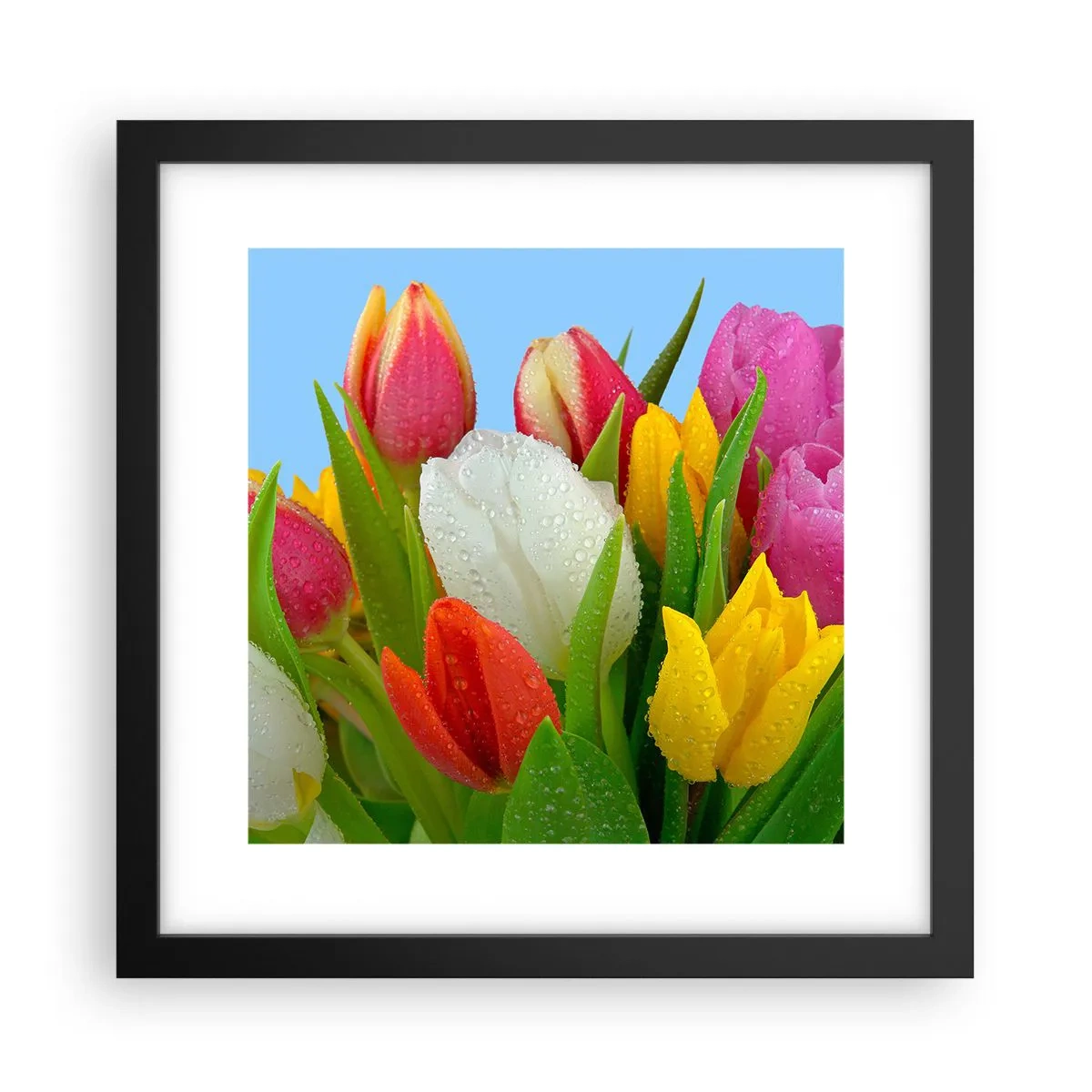 Poster in een zwarte lijst - Een bloemenregenboog in dauwdruppels - 30x30 cm