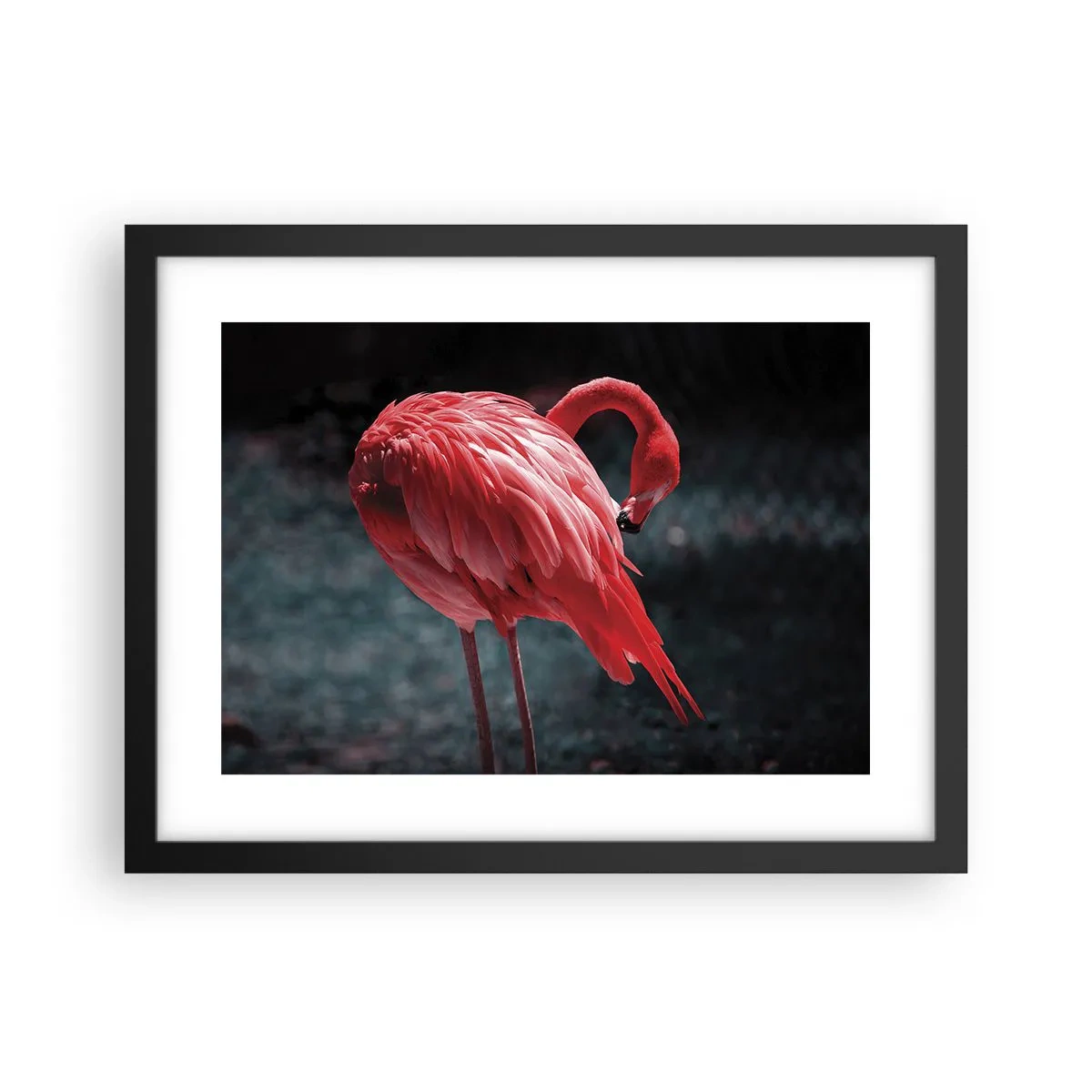 Poster in een zwarte lijst - Een karmozijnrood gedicht van de natuur - 40x30 cm