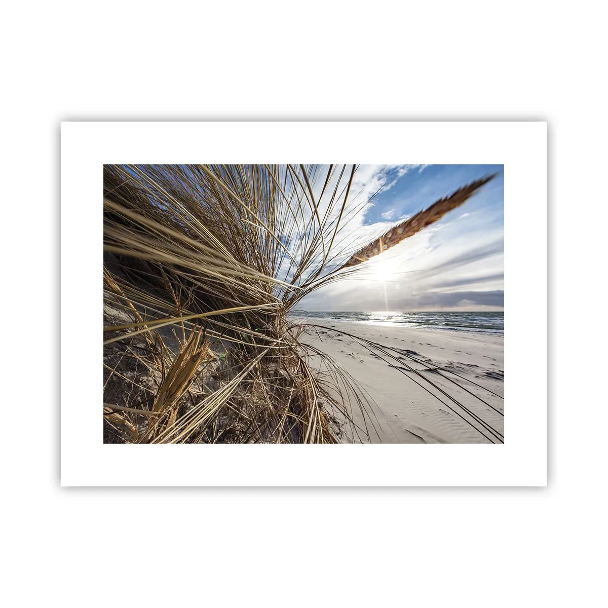 Poster - Een ontmoeting van de elementen - 40x30 cm