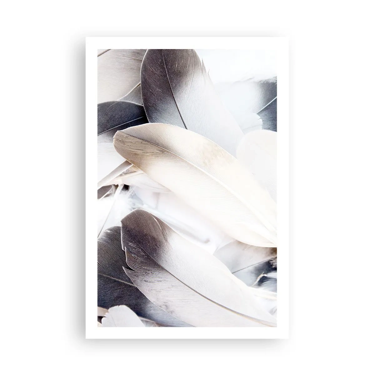 Poster - Bijna engelachtig - 61x91 cm