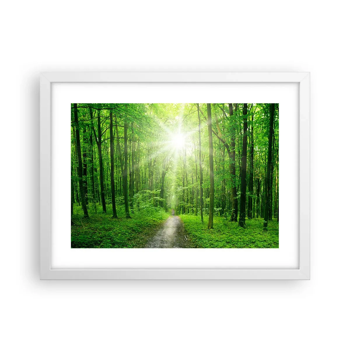 Poster in een witte lijst - De groene kathedraal - 40x30 cm