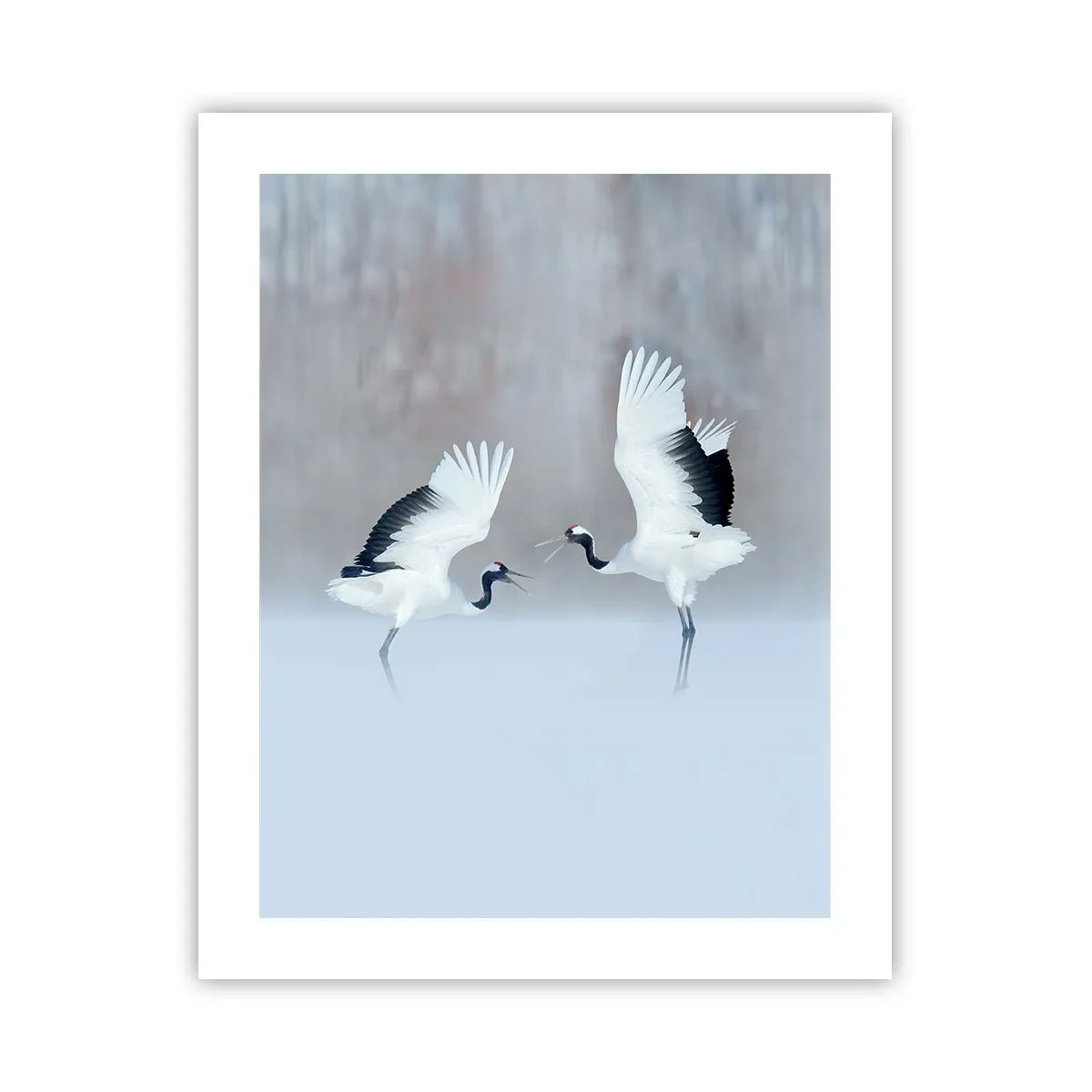 Poster - Dans in de mist - 40x50 cm